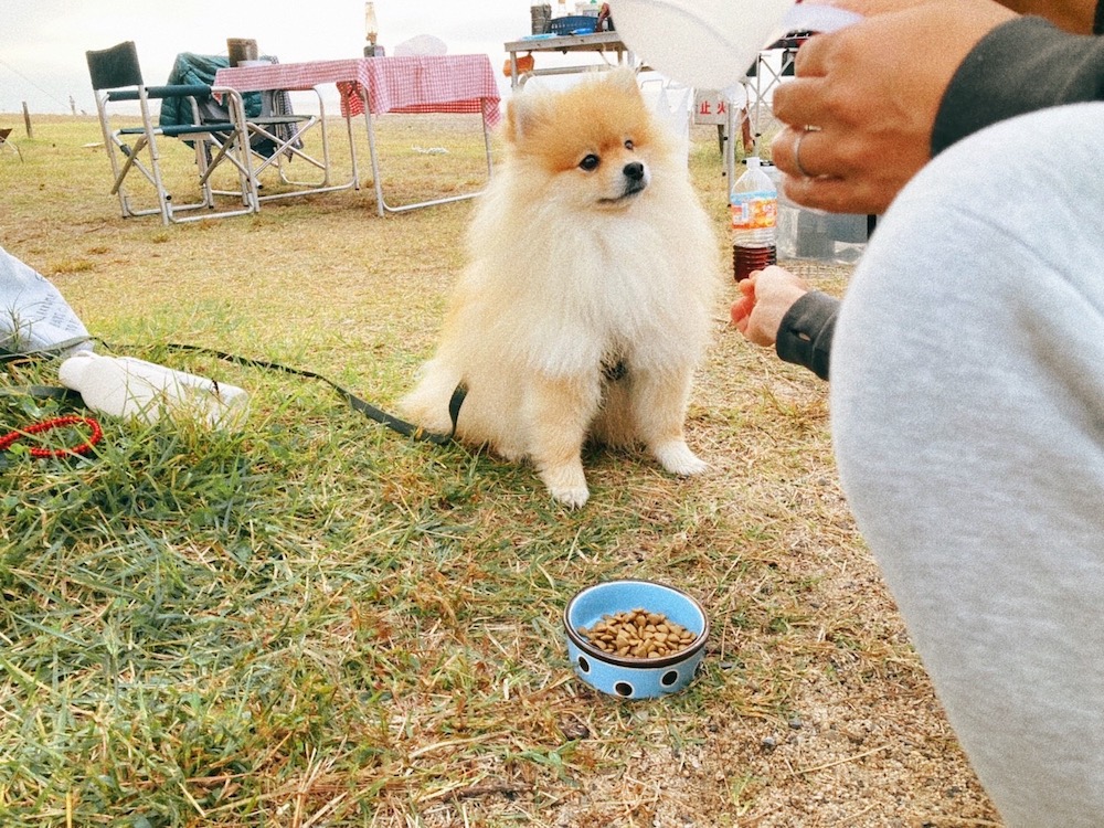 王子さんとごはん