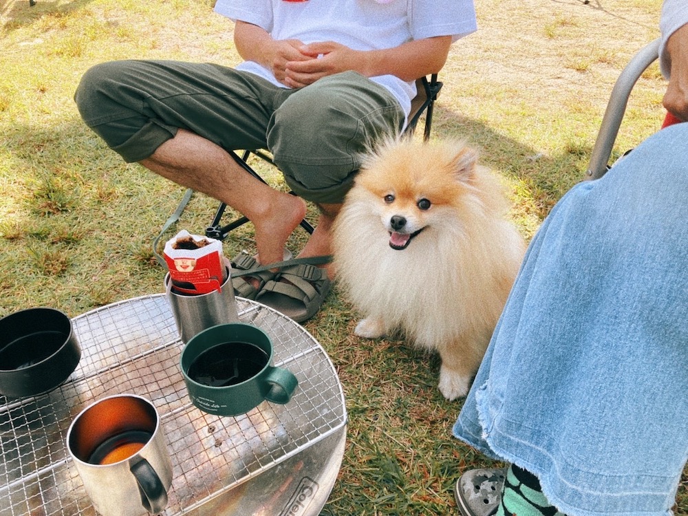 王子さんとキャンプ