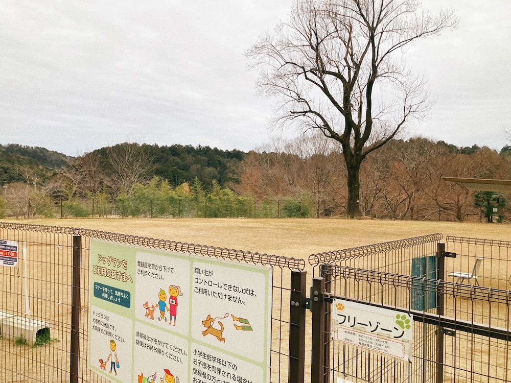 畜産センター公園ドッグラン