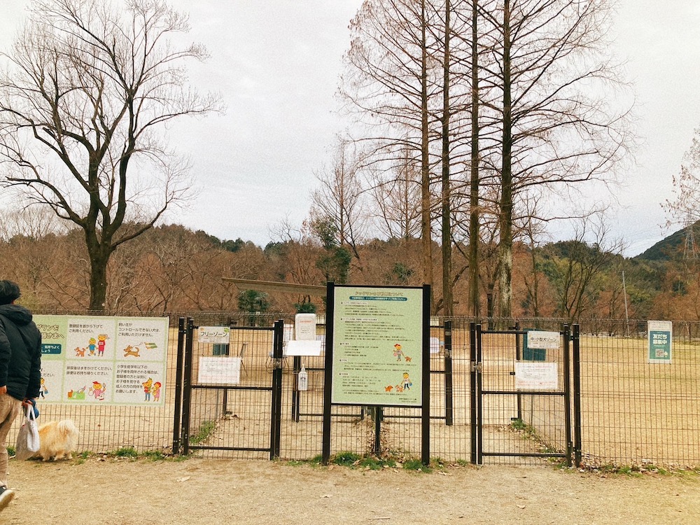 畜産センター公園ドッグラン