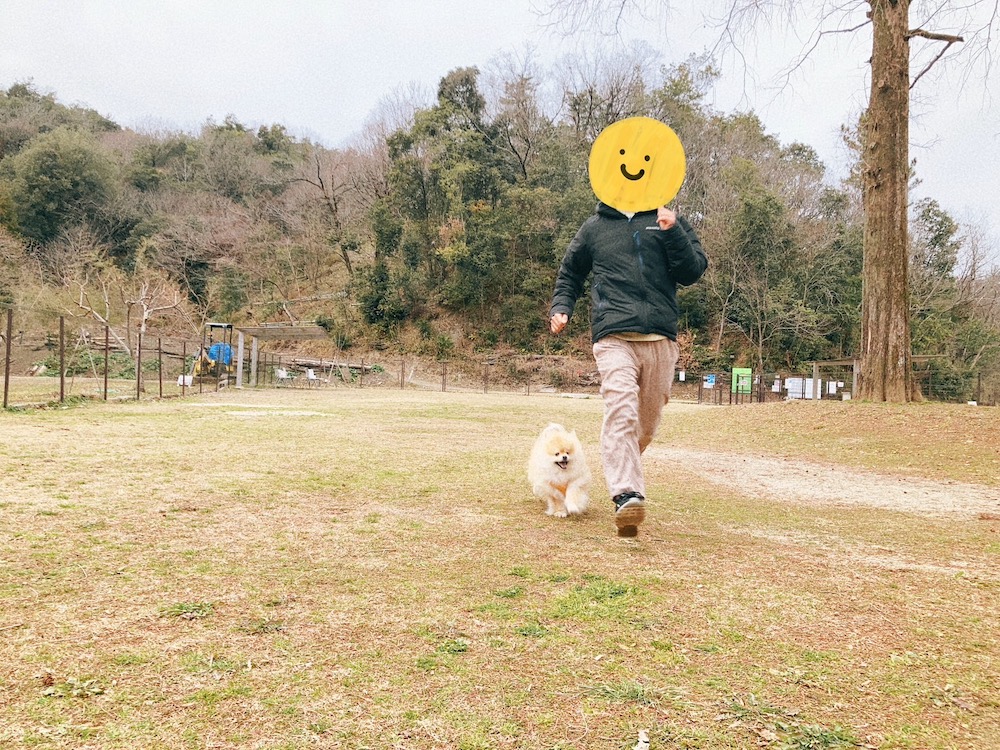 畜産センター公園ドッグラン