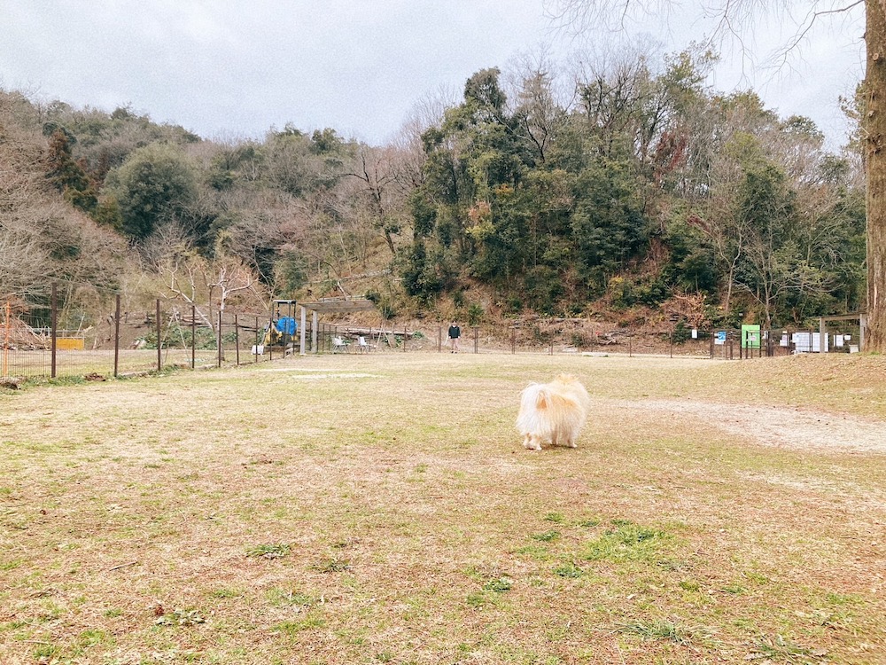 畜産センター公園ドッグラン