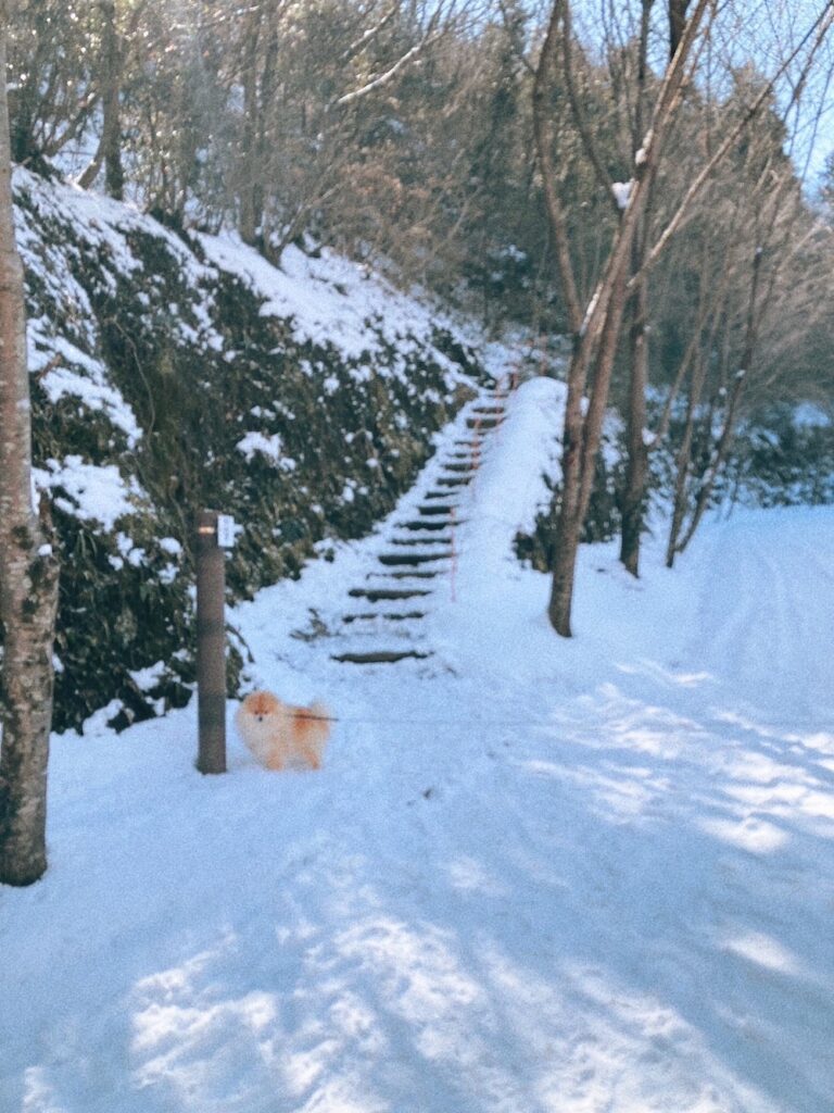 百々ヶ峰登山