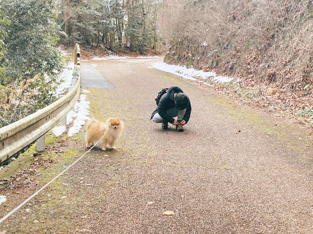 百々ヶ峰登山と王子さん