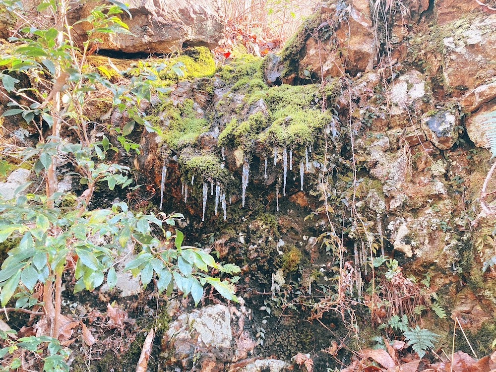 百々ヶ峰登山で見つけた氷柱