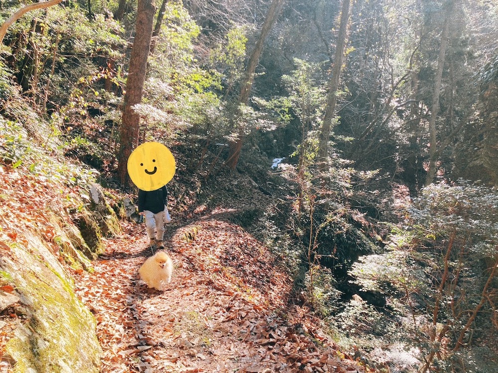 百々ヶ峰登山と王子さん