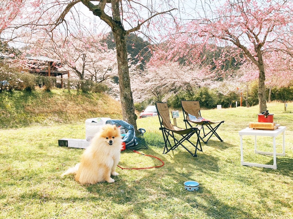 グリーンウッド関ヶ原での王子さん