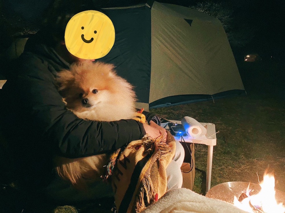 夜の焚き火と王子さん